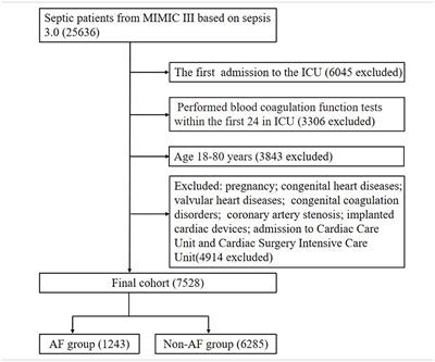 Early Coagulation Disorder Is Associated With an Increased Risk of Atrial Fibrillation in Septic Patients